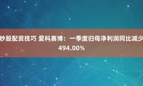 炒股配资技巧 爱科赛博：一季度归母净利润同比减少494.00%